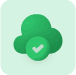 Can be used as a primary link or as a backup option